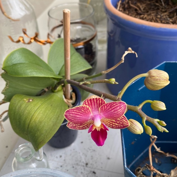 Meet your Posher, R - Picture 1 of 1